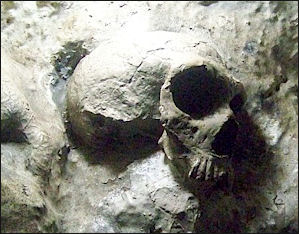 20120205-St._Michaels Cave_Neanderthal_Skull_Replica.jpg